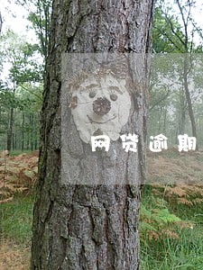 网贷逾期四次还清了 网贷逾期四次还清了