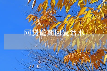 网贷逾期回复话术