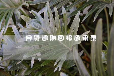 网贷逾期回报通讯录