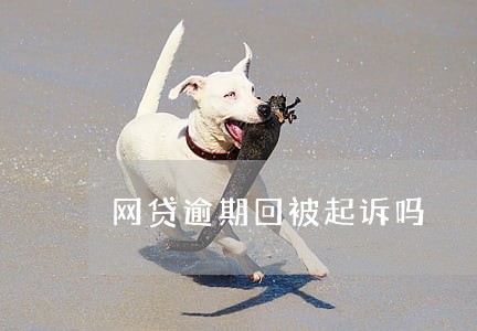 网贷逾期回被起诉吗 网贷逾期回被起诉吗