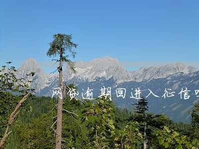 网贷逾期回进入征信吗 网贷逾期回进入征信吗