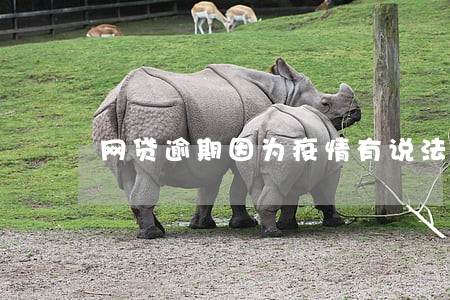 网贷逾期因为疫情有说法么 网贷逾期因为疫情有说法么