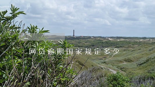 网贷逾期国家规定多少 网贷逾期国家规定多少