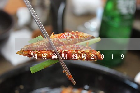 网贷逾期图片2019 网贷逾期图片2019