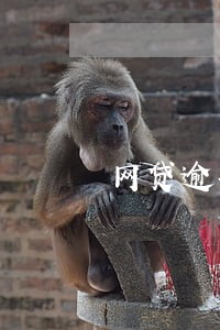 网贷逾期图片高清2018年 网贷逾期图片高清2018年