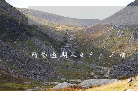 网贷逾期在APp还清 网贷逾期在APp还清