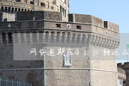 网贷逾期在App能还么 网贷逾期在App能还么