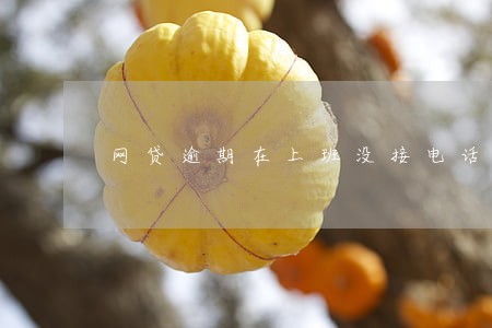 网贷逾期在上班没接电话