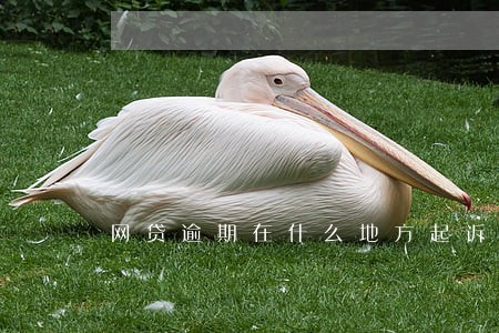 网贷逾期在什么地方起诉 网贷逾期在什么地方起诉