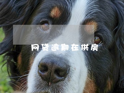 网贷逾期在供房 网贷逾期在供房