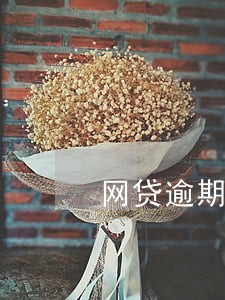 网贷逾期在哪个法院管辖 网贷逾期在哪个法院管辖