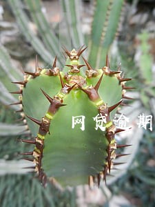 网贷逾期在哪里找正规平台 网贷逾期在哪里找正规平台