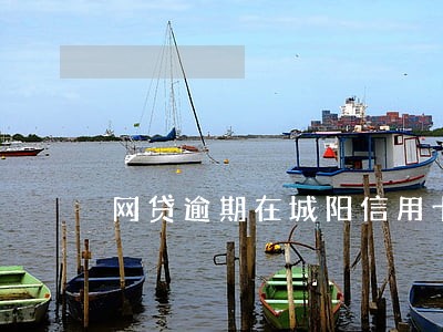 网贷逾期在城阳信用卡办理 网贷逾期在城阳信用卡办理