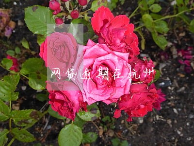 网贷逾期在杭州 网贷逾期在杭州