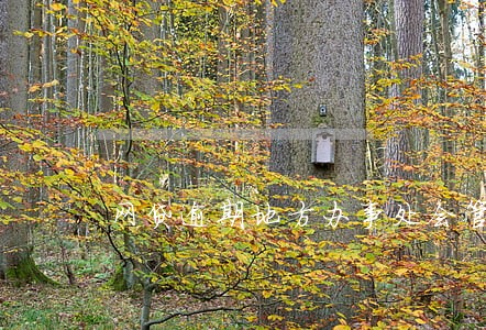 网贷逾期地方办事处会管吗