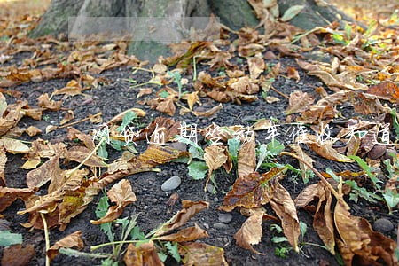 网贷逾期坐动车催收知道吗 网贷逾期坐动车催收知道吗