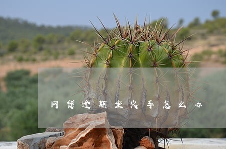 网贷逾期坐火车怎么办