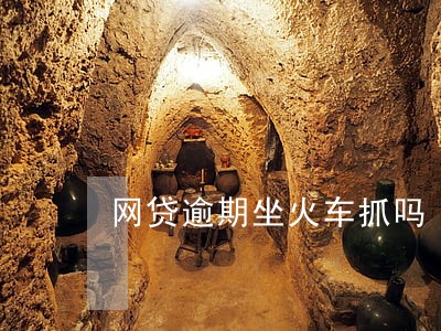 网贷逾期坐火车抓吗 网贷逾期坐火车抓吗