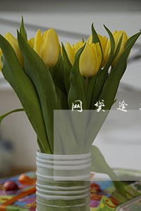 网贷逾期坐牢吗 网贷逾期坐牢吗