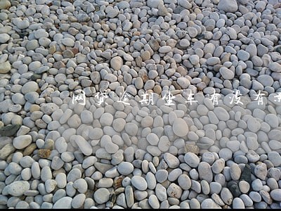 网贷逾期坐车有没有影响 网贷逾期坐车有没有影响