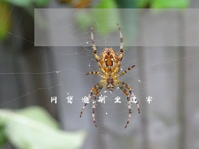 网贷逾期坐过牢