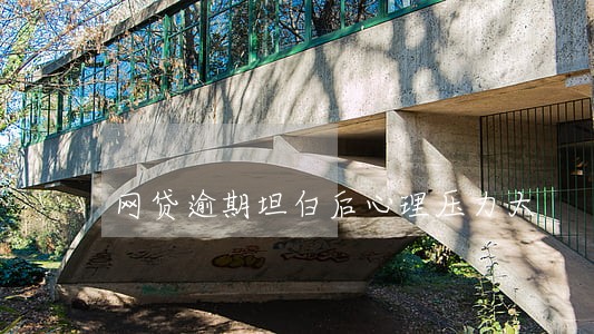 网贷逾期坦白后心理压力大 网贷逾期坦白后心理压力大