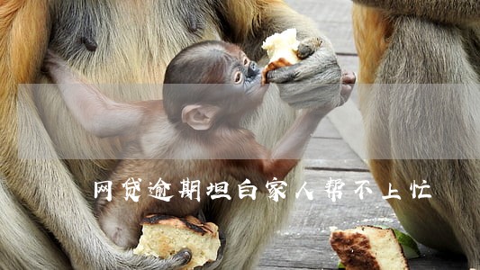 网贷逾期坦白家人帮不上忙 网贷逾期坦白家人帮不上忙
