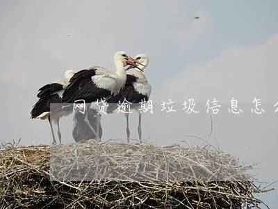 网贷逾期垃圾信息怎么处理 网贷逾期垃圾信息怎么处理