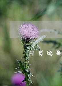 网贷逾期垫付规则对比 网贷逾期垫付规则对比