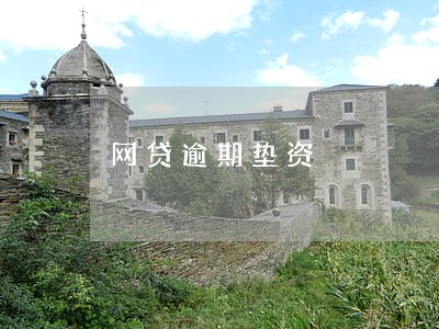 网贷逾期垫资