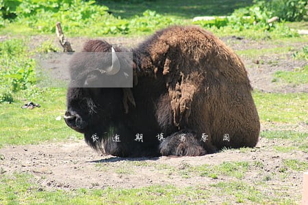 网贷逾期填写原因 网贷逾期填写原因