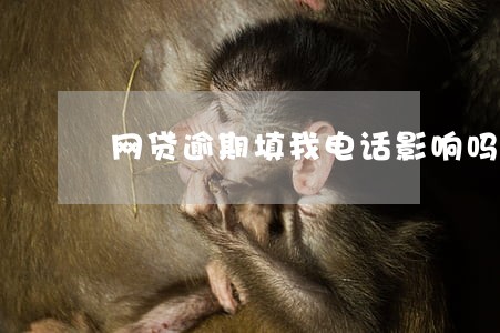 网贷逾期填我电话影响吗 网贷逾期填我电话影响吗
