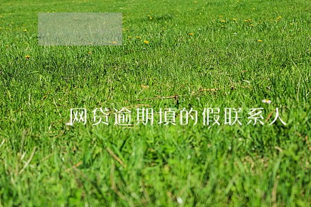 网贷逾期填的假联系人 网贷逾期填的假联系人