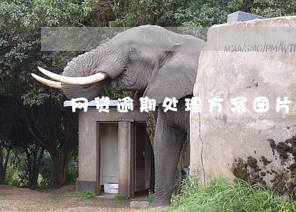 网贷逾期处理方案图片 网贷逾期处理方案图片