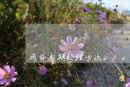 网贷逾期处理方法2020年 网贷逾期处理方法2020年