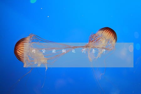 网贷逾期处罚条件 网贷逾期处罚条件