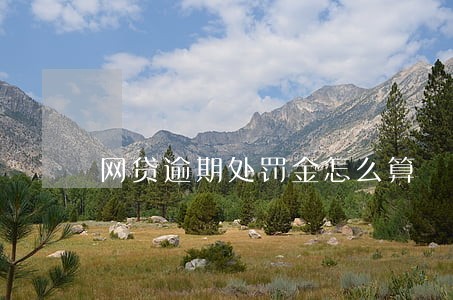 网贷逾期处罚金怎么算