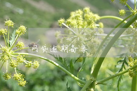 网贷逾期备案 网贷逾期备案