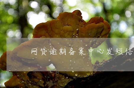 网贷逾期备案中心发短信啥意思 网贷逾期备案中心发短信啥意思
