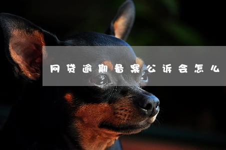 网贷逾期备案公诉会怎么样 网贷逾期备案公诉会怎么样