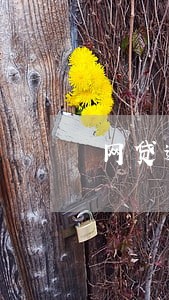 网贷逾期备案处理 网贷逾期备案处理