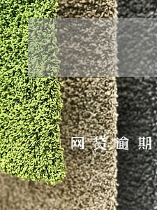 网贷逾期备案通知短信 网贷逾期备案通知短信
