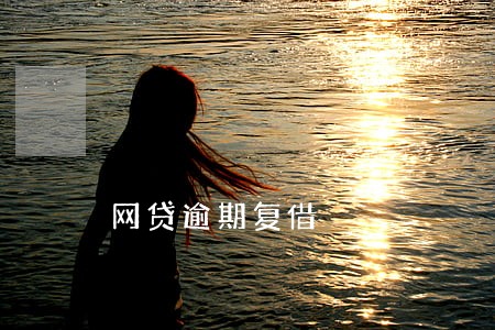 网贷逾期复借 网贷逾期复借