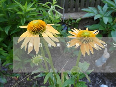 网贷逾期外包一般会怎么样 网贷逾期外包一般会怎么样