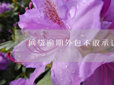 网贷逾期外包不敢承认 网贷逾期外包不敢承认