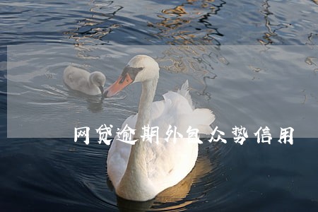 网贷逾期外包众势信用 网贷逾期外包众势信用