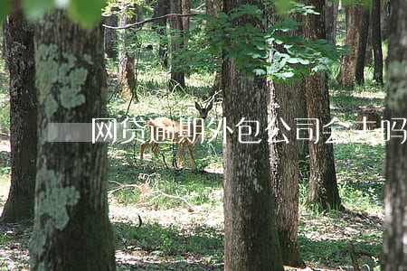 网贷逾期外包公司会去吗 网贷逾期外包公司会去吗