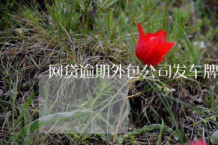 网贷逾期外包公司发车牌 网贷逾期外包公司发车牌