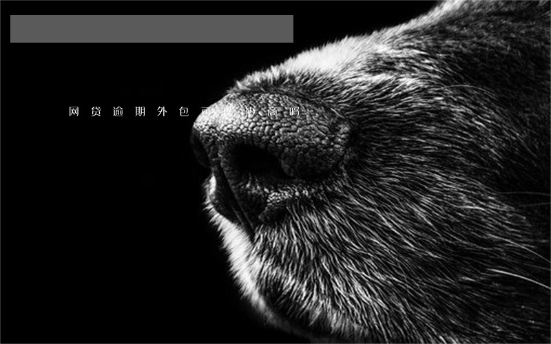网贷逾期外包可以协商吗 网贷逾期外包可以协商吗