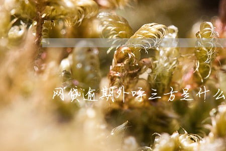 网贷逾期外呼三方是什么 网贷逾期外呼三方是什么